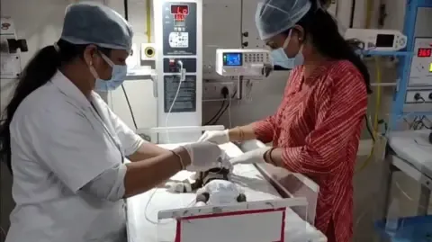 Infant Buried Living in the Country Fights for Her Life