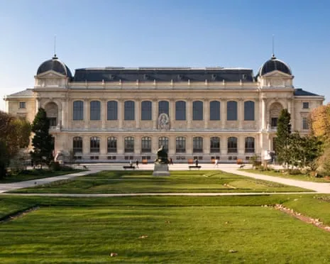 Priceless Gold Pieces Taken in Audacious Heist at France's Natural History Institution